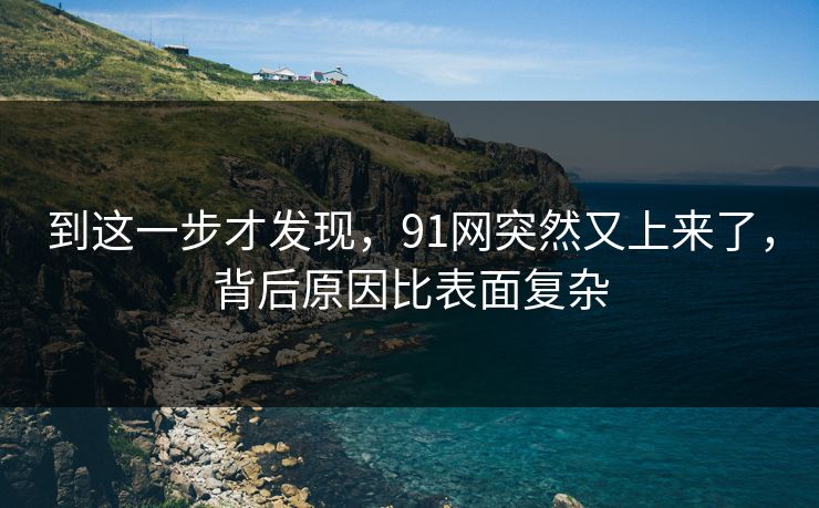 到这一步才发现，91网突然又上来了，背后原因比表面复杂