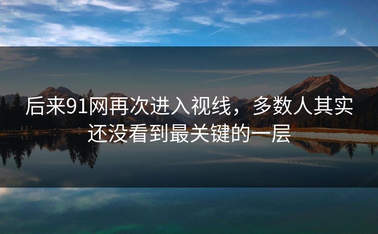 后来91网再次进入视线，多数人其实还没看到最关键的一层