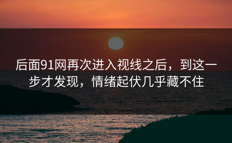 后面91网再次进入视线之后，到这一步才发现，情绪起伏几乎藏不住