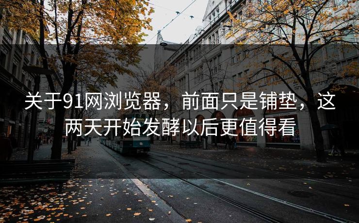 关于91网浏览器，前面只是铺垫，这两天开始发酵以后更值得看
