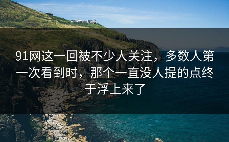 91网这一回被不少人关注，多数人第一次看到时，那个一直没人提的点终于浮上来了